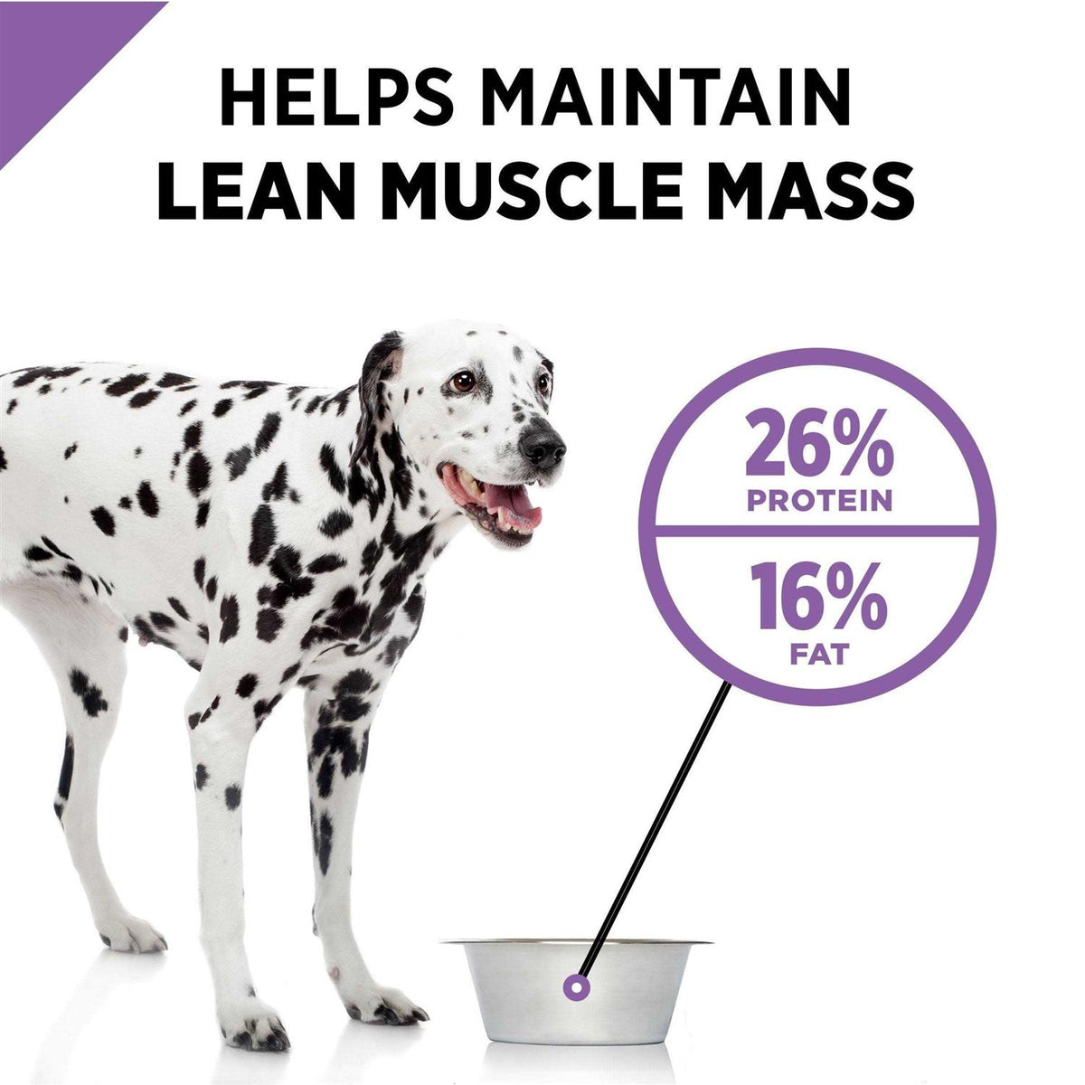 Dry Dog Food L3147