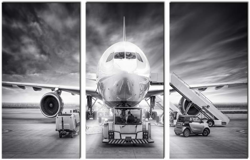 Black and White 3 Piece Framed Canvas Wall Art B729348