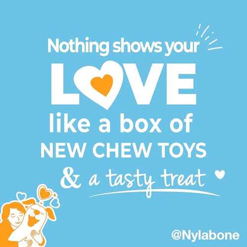 Chew Toy & Treat Gift Box Y9040