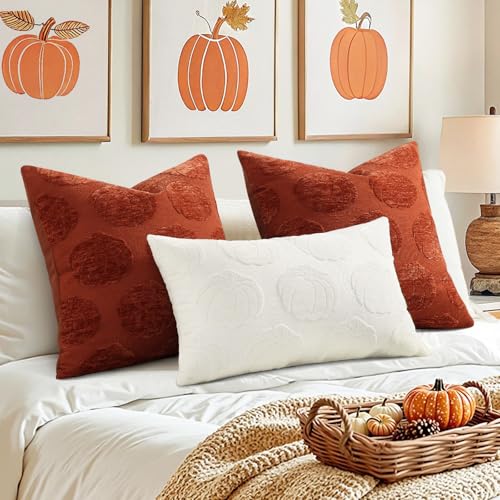 Christmas Chenille Soft Throw Pillow Covers 18x18 Set of 2 J779