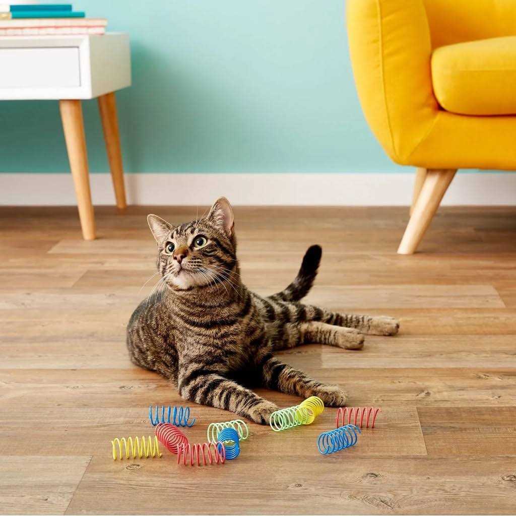 Colorful Springs Cat Toy O260535