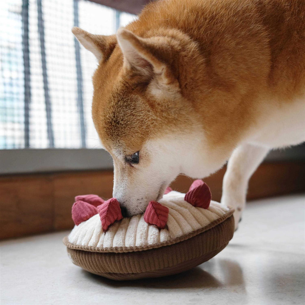 Enrichment Dog Toy Y7408