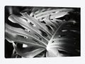 Canvas Prints P8279