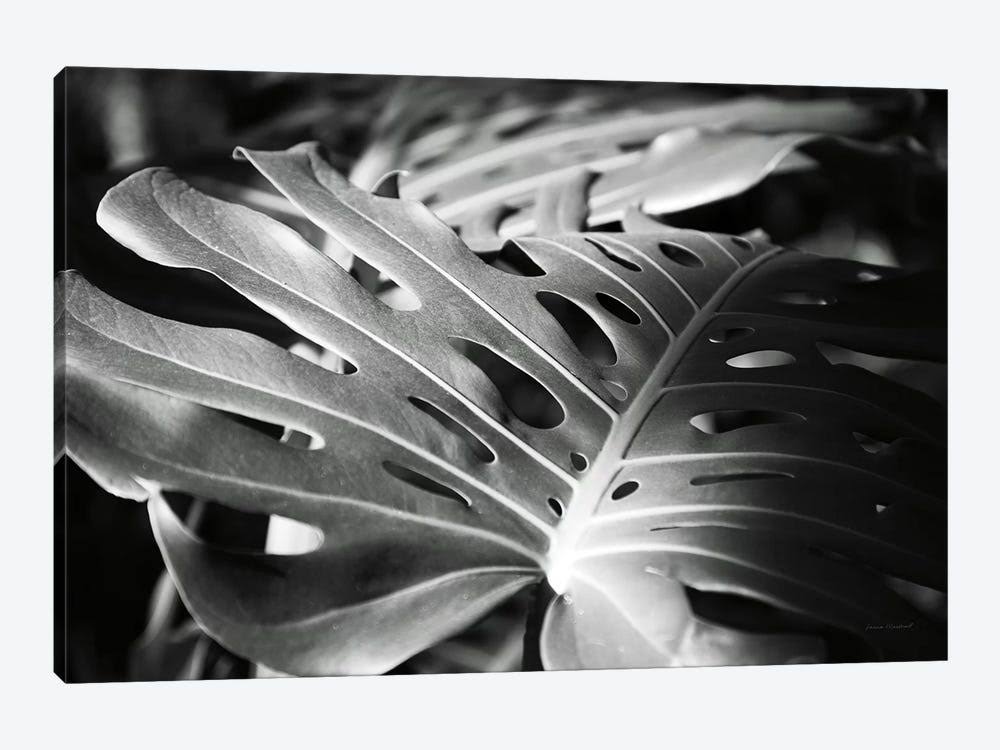 Canvas Prints P8279
