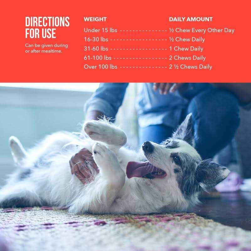 Soft Chews Joint Supplement for Dogs I997952