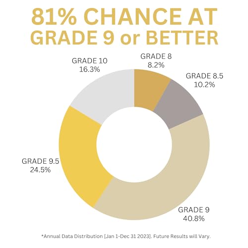 Graded Basketball Card Mystery Booster Pack S953