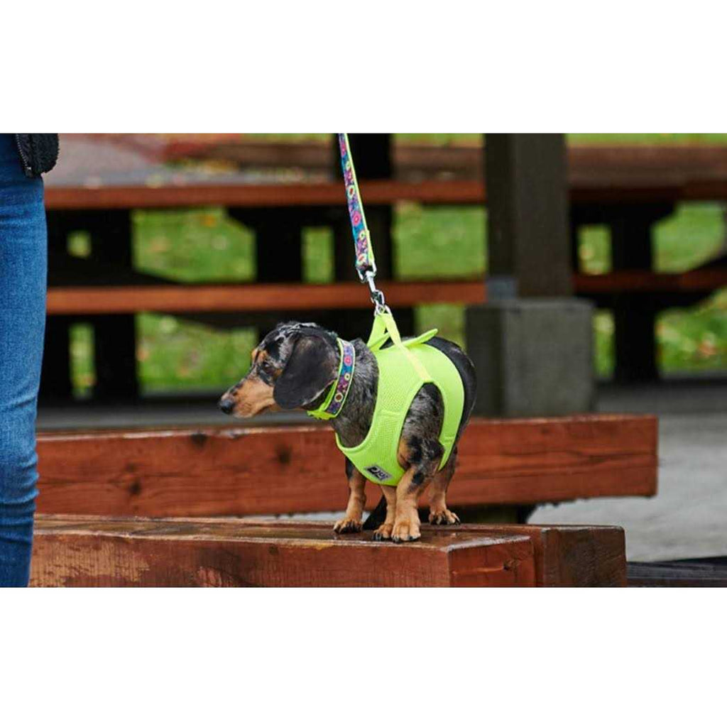 Step in Dog Harness P42738