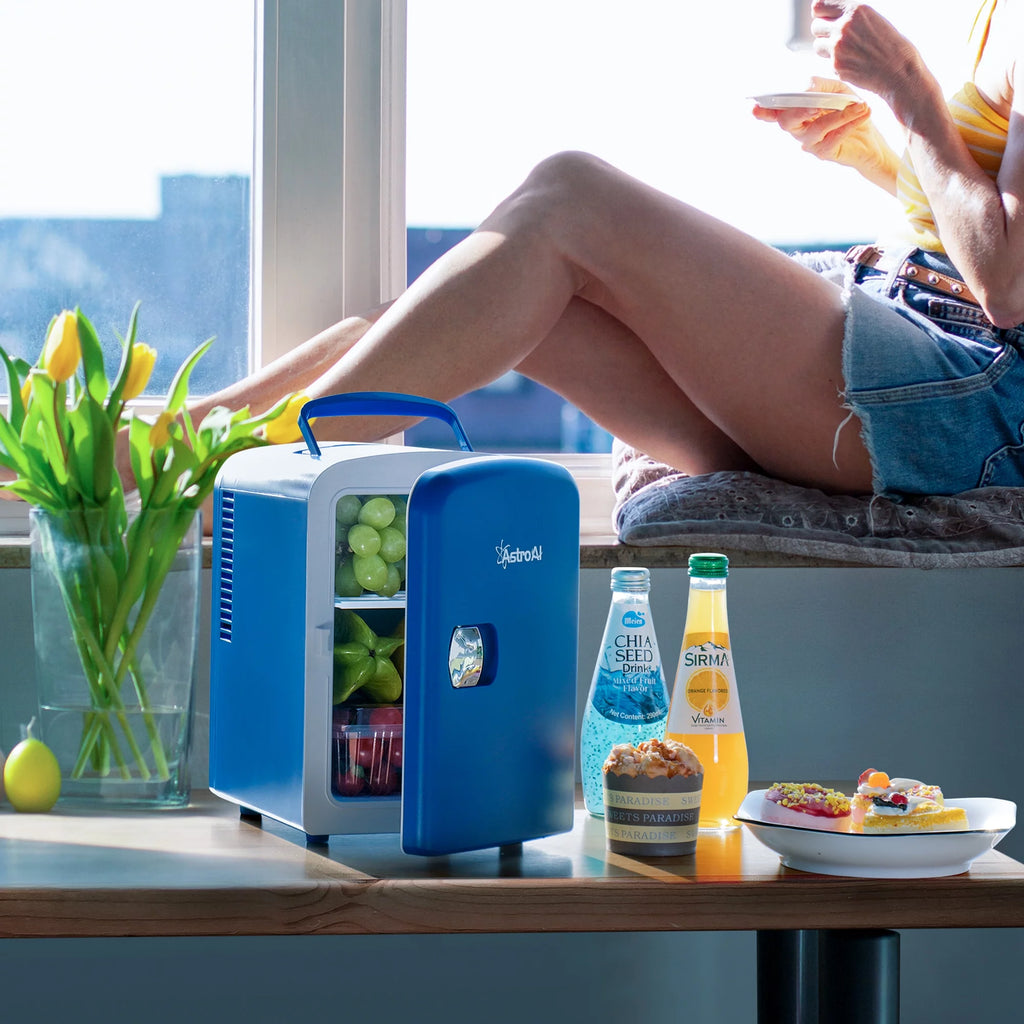 4L 6 Can Portable Electric Cooler Mini Fridge F27270