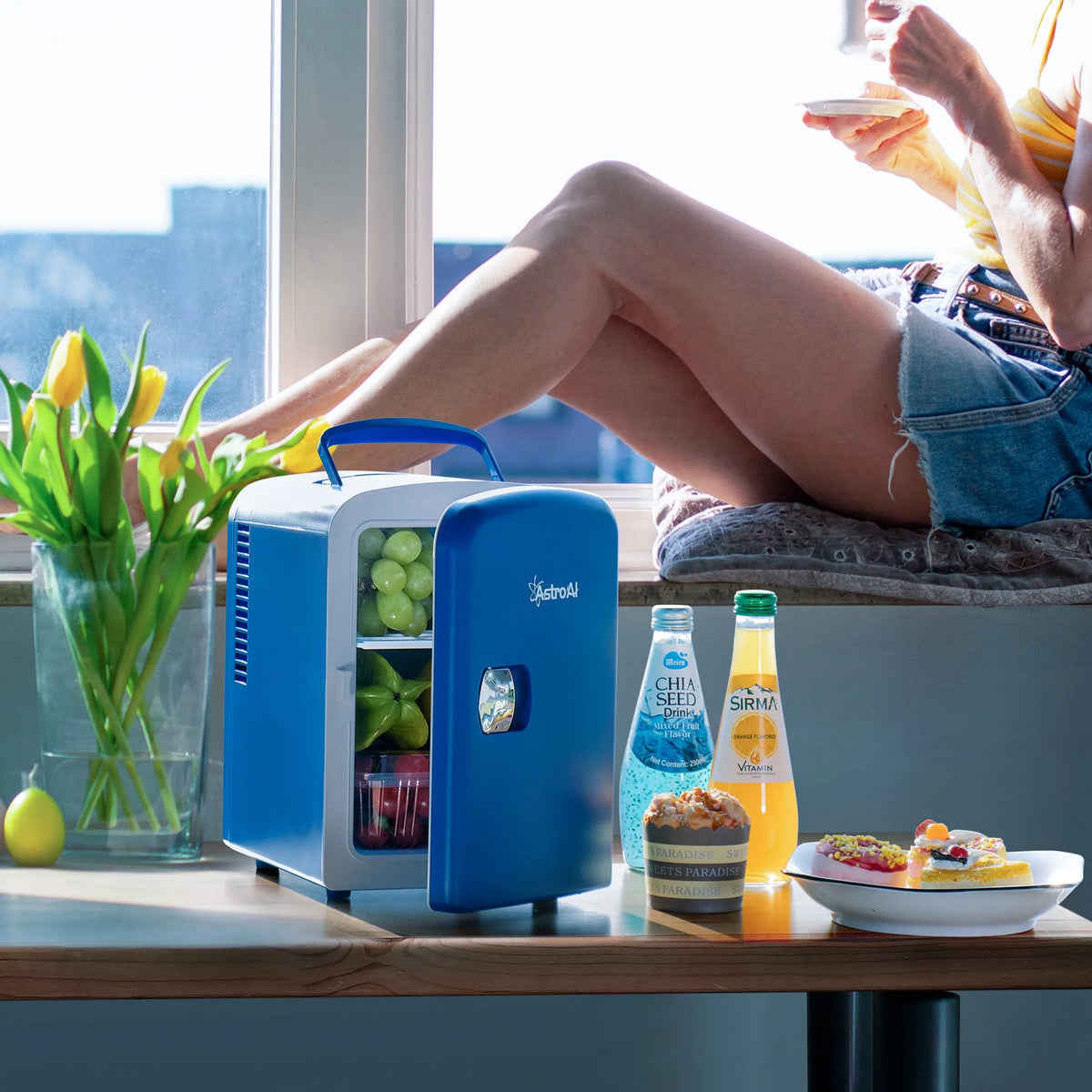4L 6 Can Portable Electric Cooler Mini Fridge F27270