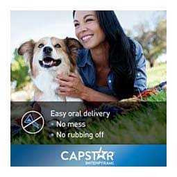 Flea Tablets for Dogs U503