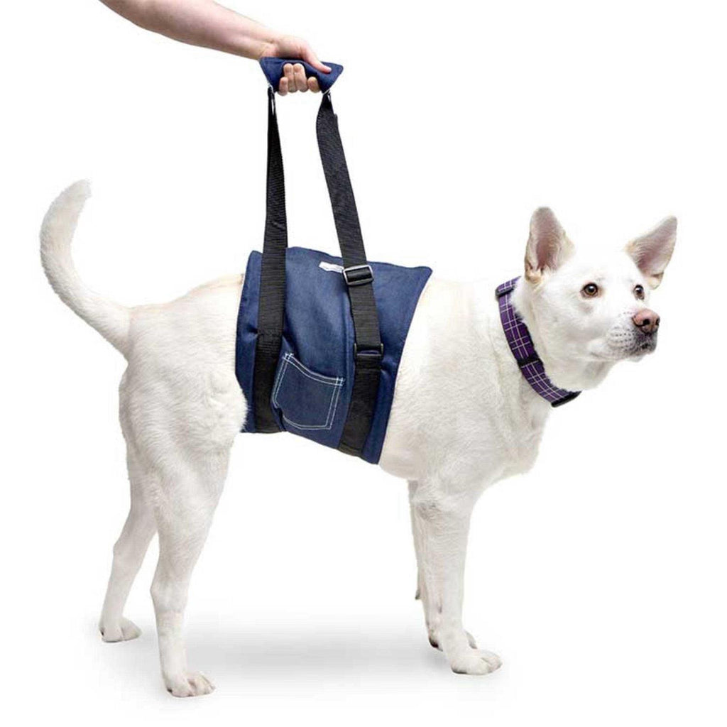 Dog Support Sling M568170