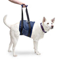 Dog Support Sling M568170
