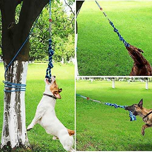 Bungee Dog Tug Toy F10146