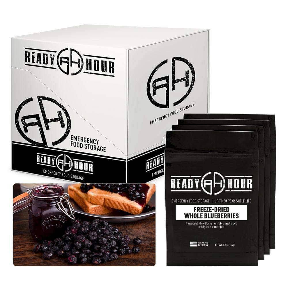 Freeze Dried Blueberries Case Pack N7545