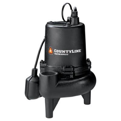 3/4 HP Cast Iron Sewage Pump with Tethered Switch R3428