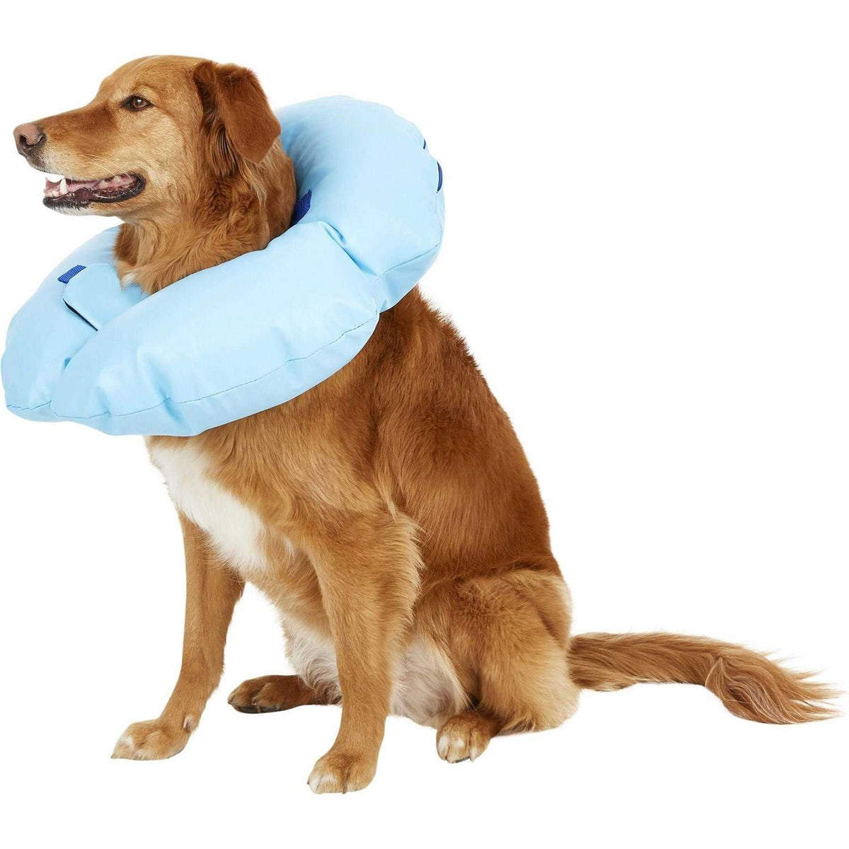 Inflatable Recovery Dog Collar P6943
