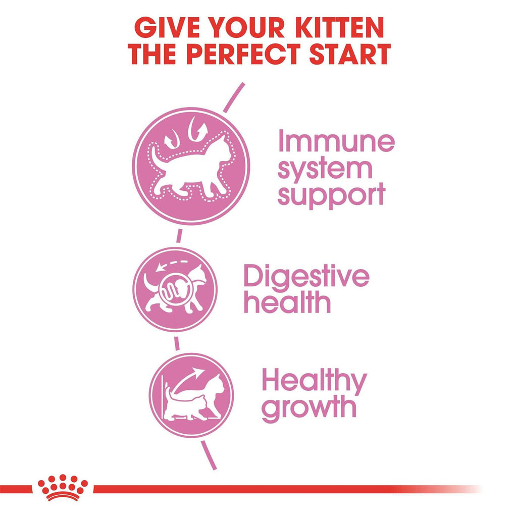Kitten Dry Cat Food F446