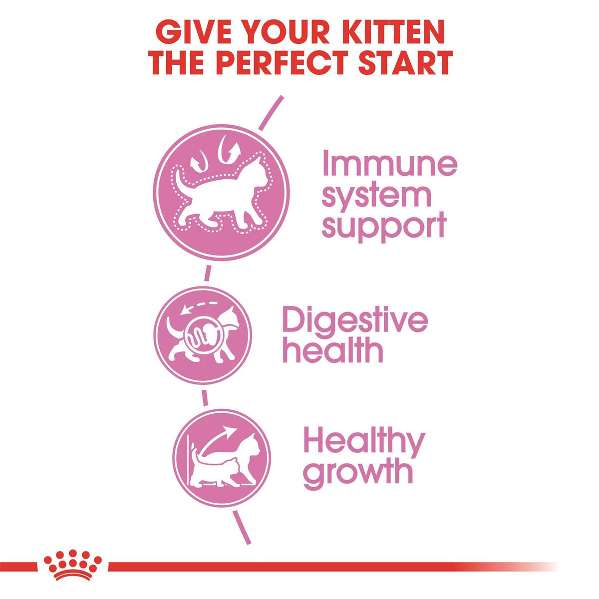 Kitten Dry Cat Food F446