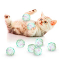 Clear Mylar Cat & Ferret Crinkle Balls & Chase Toy Y591610