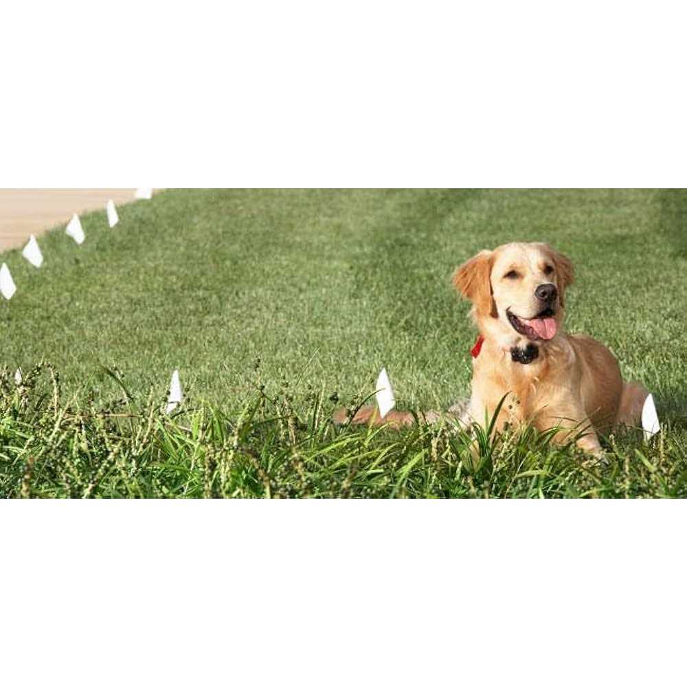 Electric Dog Fence Boundary Flags S82149