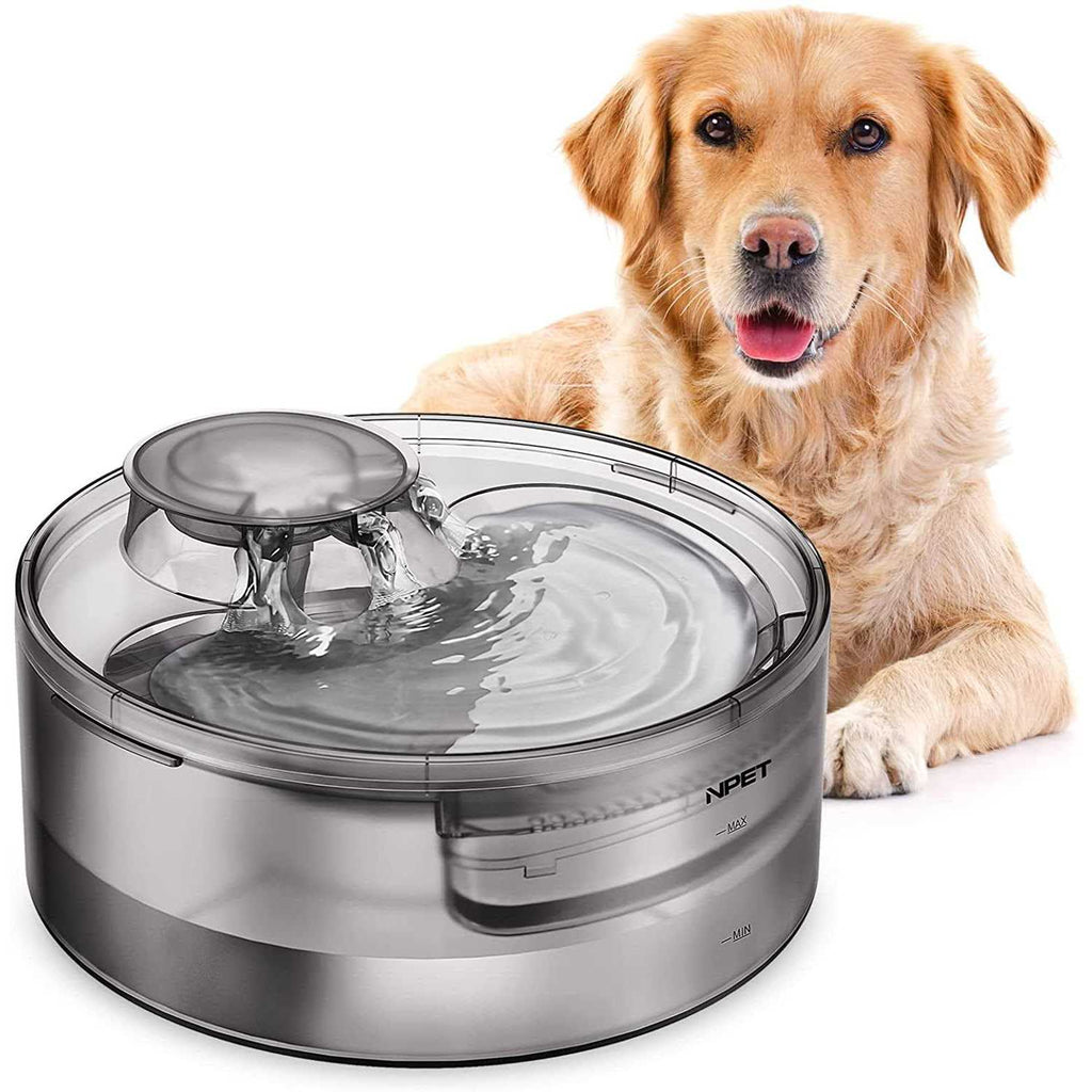 Automatic Dog Water Fountain 1.3 Gallon K297714