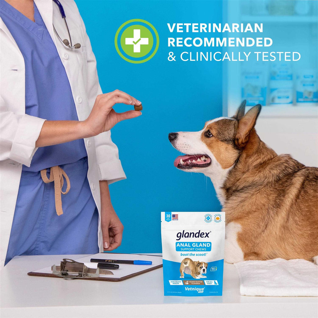 Anal Gland Soft Chews Supplement for Dogs S4080