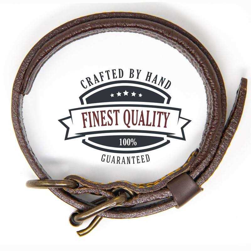Padded Full Grain Genuine Leather Dog Collar H2414