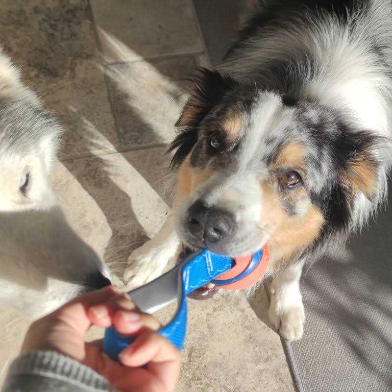 Dog Toy S187472