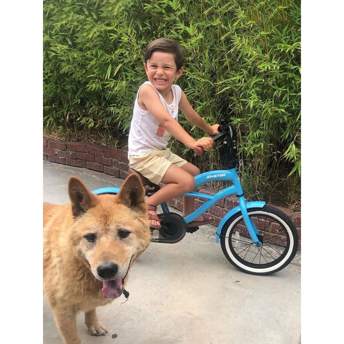 16 Inch Kids Toddler Bicycle with Training Wheels J2731