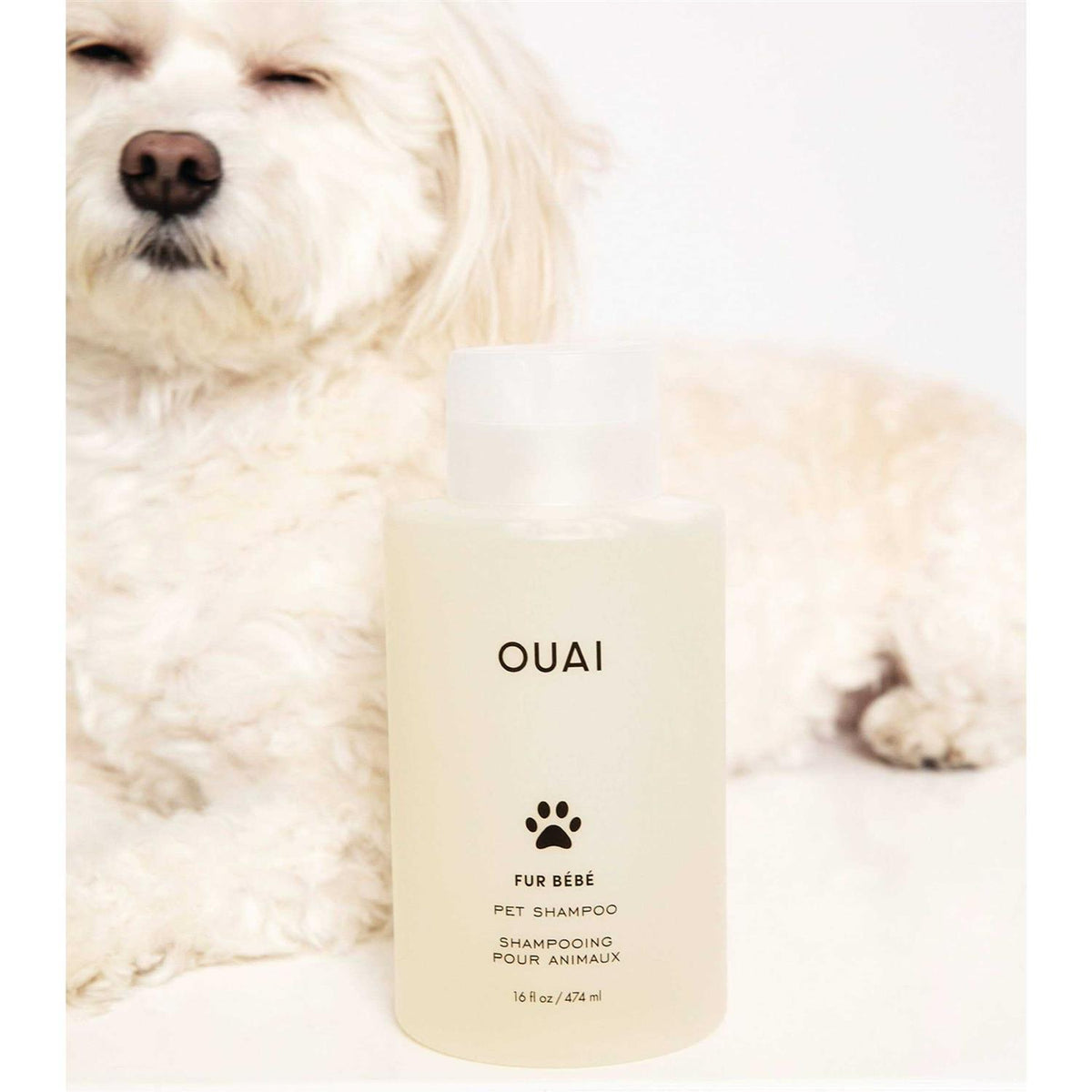 Pet Shampoo Y994