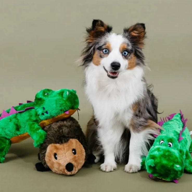 Hedgehog Dog Toy Z990
