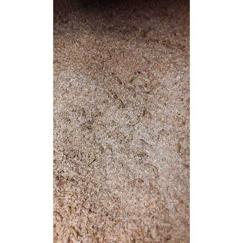 Mealworm and Superworm Bedding J623
