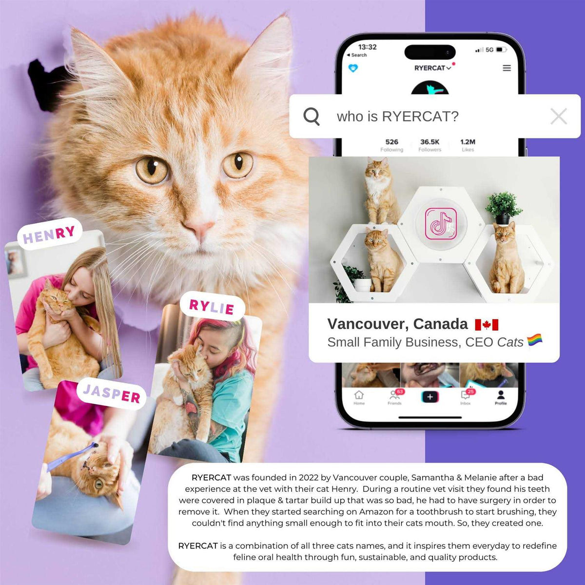 Dual Sided Cat Toothbrush M695