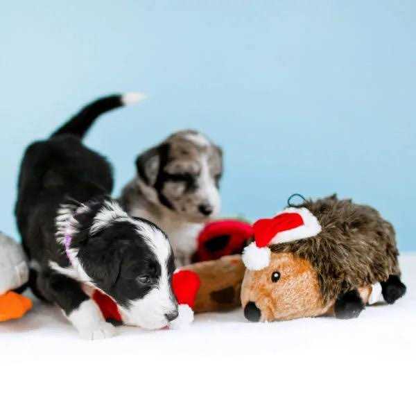 Hedgehog Dog Toy Z990