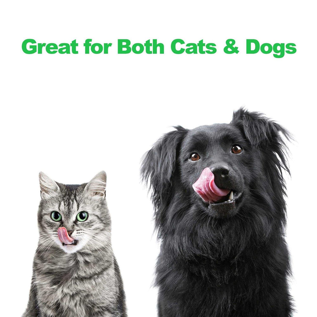Modern Double Elevated Dog Bowls V9047