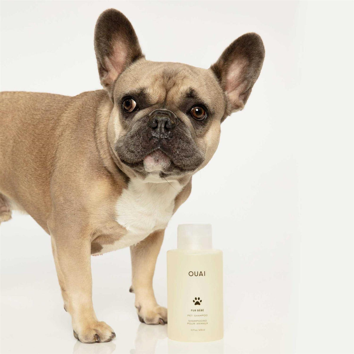 Pet Shampoo Y994