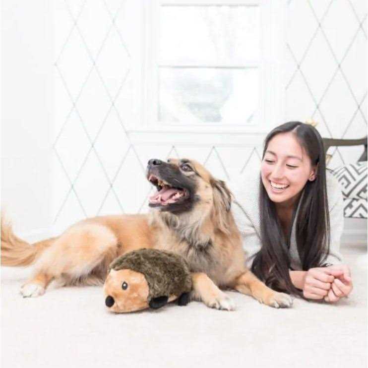 Hedgehog Dog Toy Z990