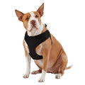Mesh Dog Harness W21747