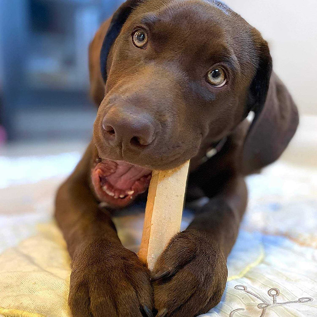 Yak Cheese Dog Chews Q177