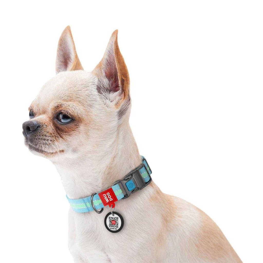 Glow in the Dark Nylon Dog Collar Blue U91971