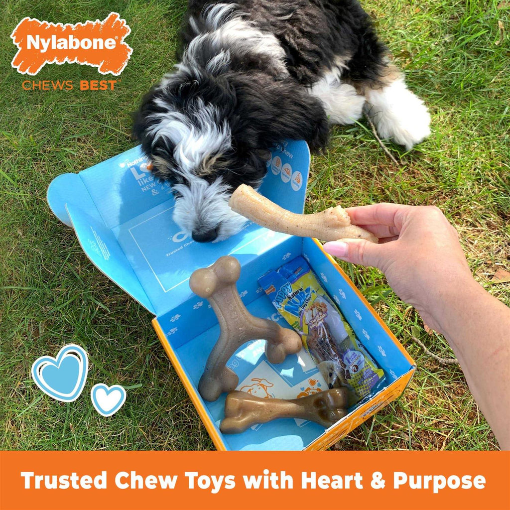 Chew Toy & Treat Gift Box Y9040