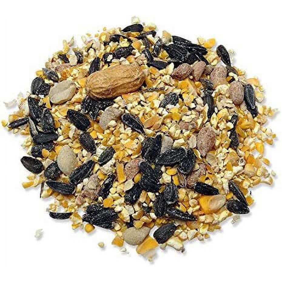 Wild Bird Food Y163653