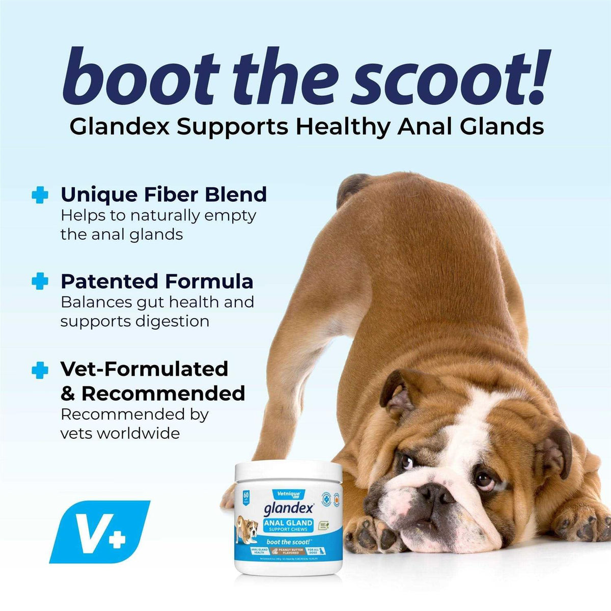 Anal Gland Soft Chews Supplement for Dogs S4080
