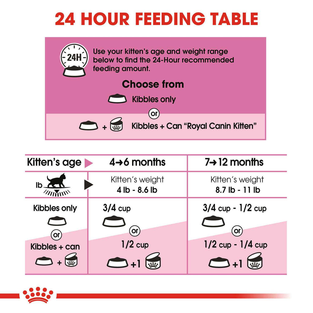 Kitten Dry Food Y365619