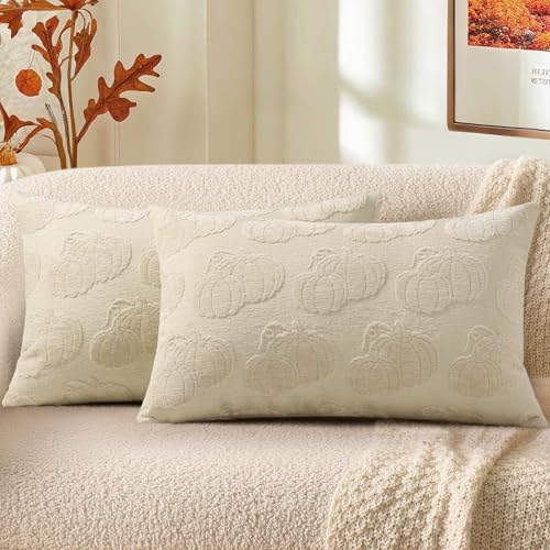 Christmas Chenille Soft Throw Pillow Covers 18x18 Set of 2 J779