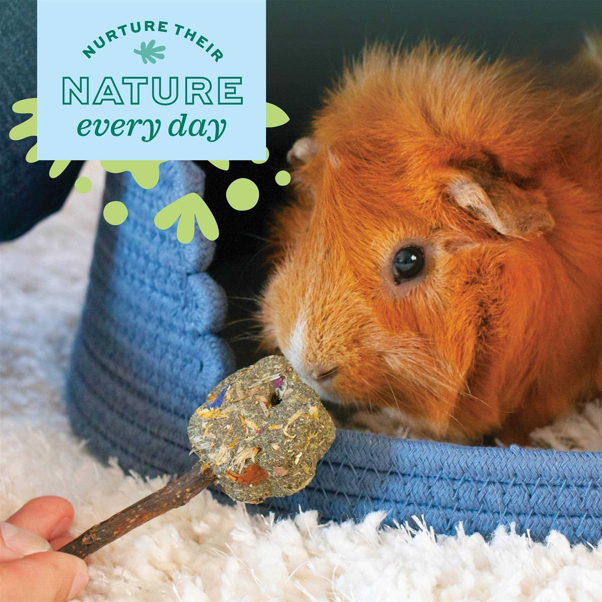 Young Guinea Pig Food F7221