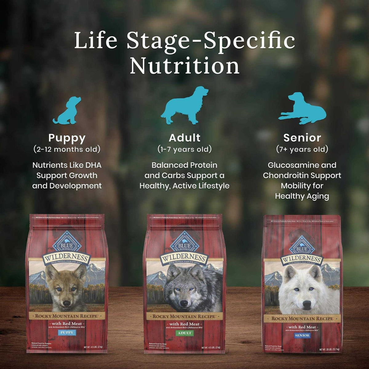 High Protein Natural Senior Dry Dog Food N273862