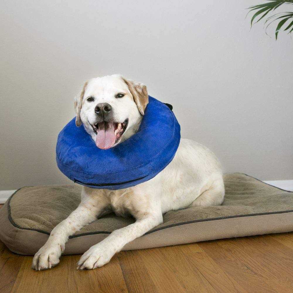 Cloud Collar R316