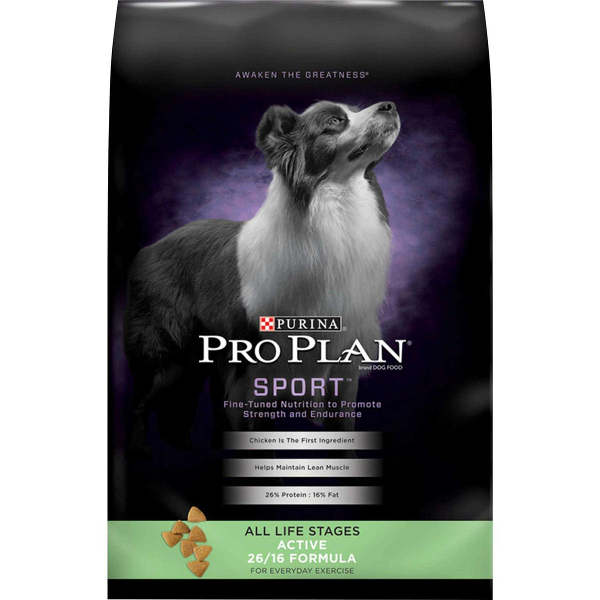 Dry Dog Food L3147