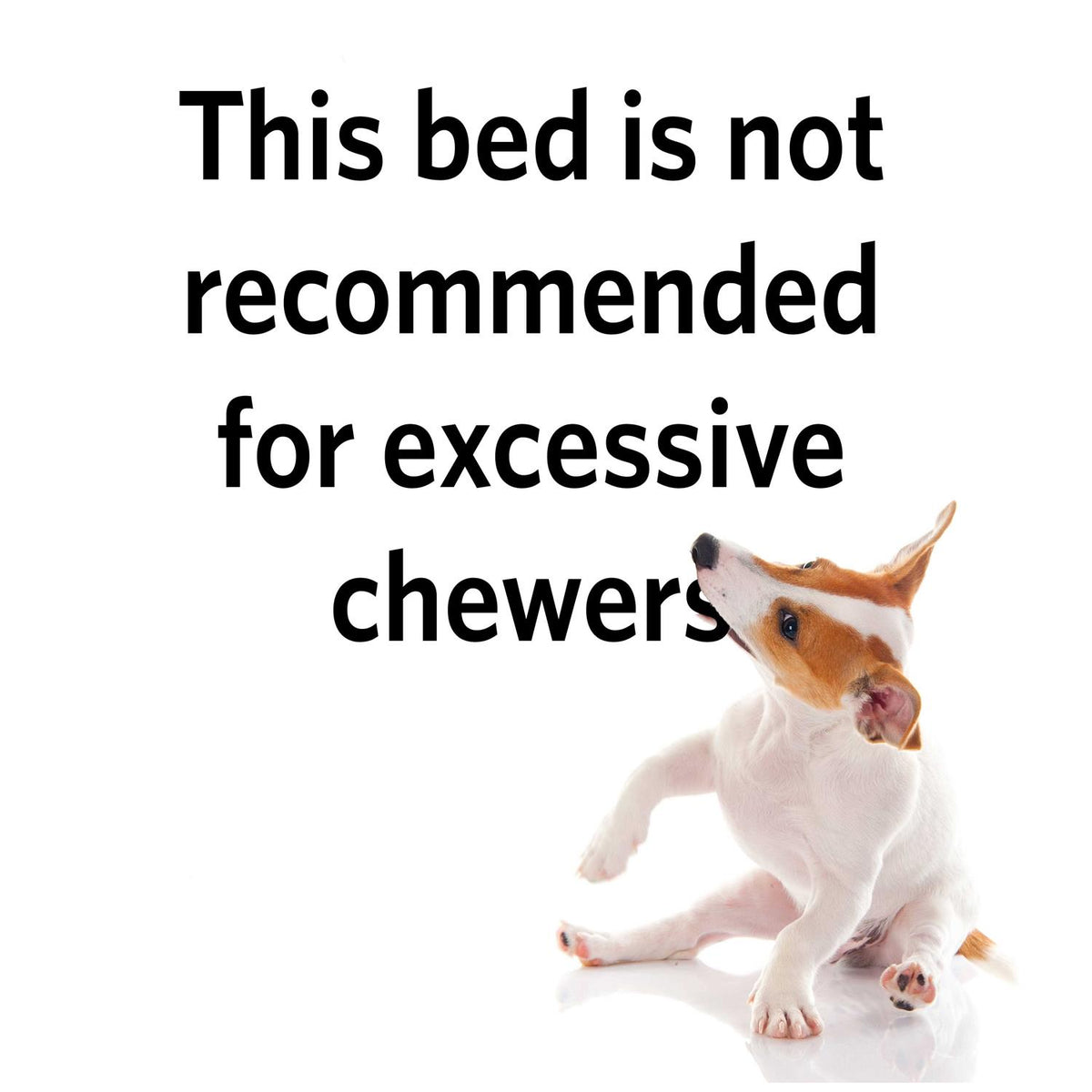 Quiet Time Maxx Pet Bed C1552